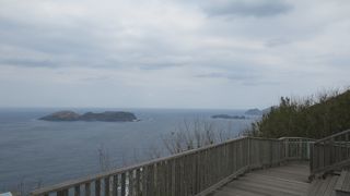 ザトウクジラのビューポイント