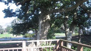 サムエルコッキング苑近くの無料広場