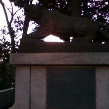 なぜ虎なのでしょう？