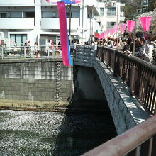 撮影する人で埋め尽くされていました。