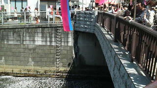 桜の時期は人で埋め尽くされます