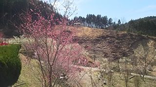 小さな山里にたくさんの人たちが