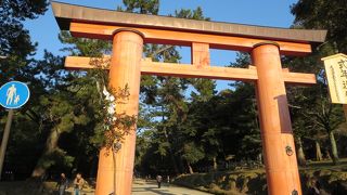 春日大社に続く鳥居です。