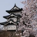 今春（2015年）でしばしお別れ！弘前城天守と桜。