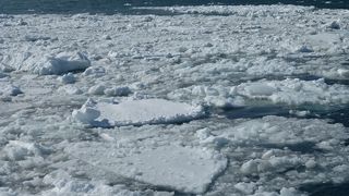 流氷を間近に見る