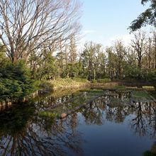 園内の池