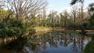 千鳥ケ淵の桜を眺める穴場です