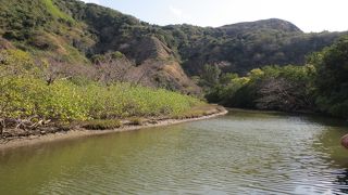 父島最大の川