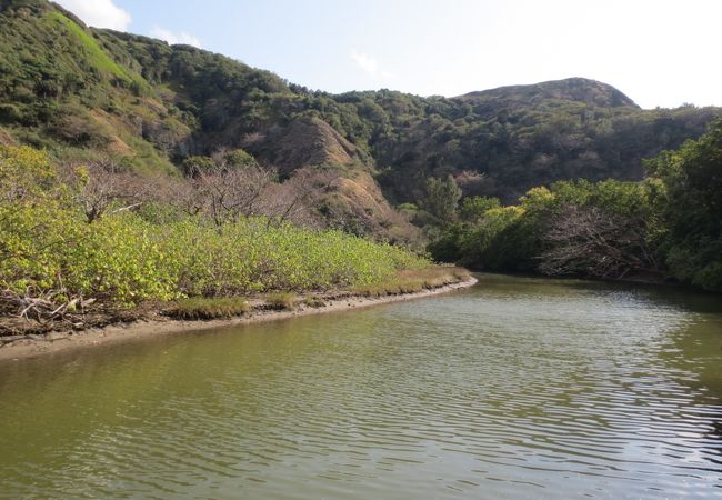 父島最大の川