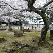 特に多くの観光客が訪れます