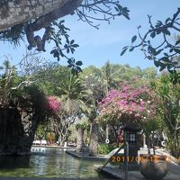 2つ有るうちの1つのプール。