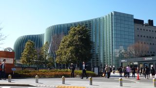 もう少し様子を見て…