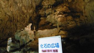 おきなわワールド文化王国・玉泉洞