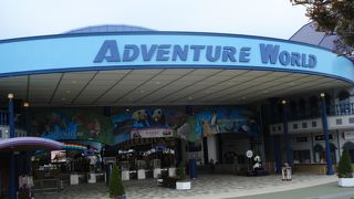 シャチはいないけど・・・