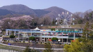 休日のお出かけスポット