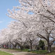 私の町・加古川と周辺　part2　(4)　西条古墳公園（さいじょうこふんこうえん）を散歩