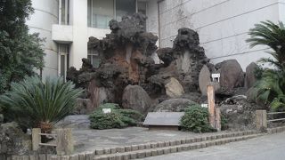 間歇泉に思わず興奮