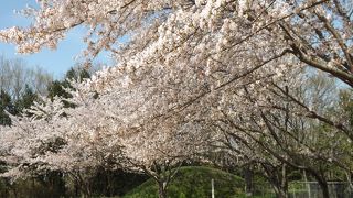 宮山農村公園