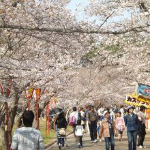 日岡山公園で撮影