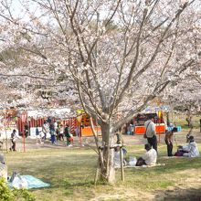 日岡山公園で撮影