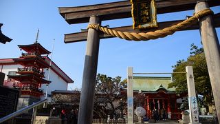 梅の名所でもあり面白くもある神社