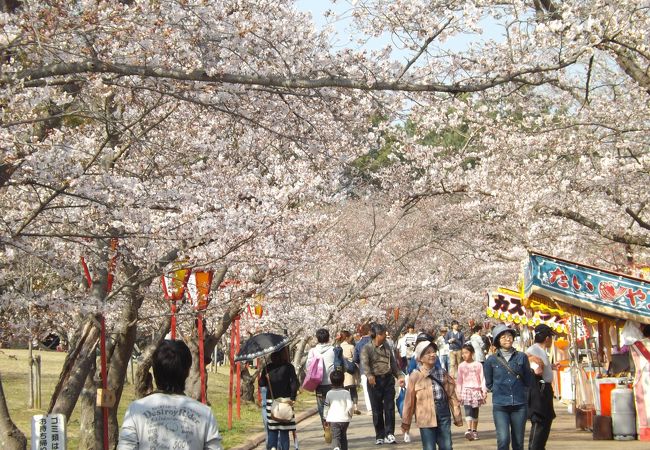 日岡山公園 クチコミ アクセス 営業時間 加古川 播磨 高砂 フォートラベル