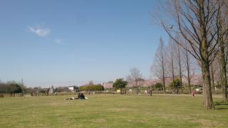 打上川治水緑地