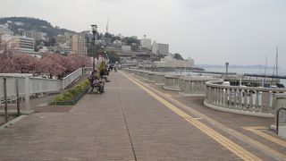 いろんな海の景色が楽しめる