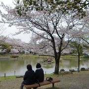 飯塚の桜の名所です