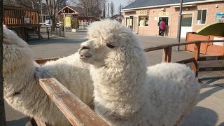 広い！ふれあい！