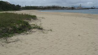 自然のままのビーチ