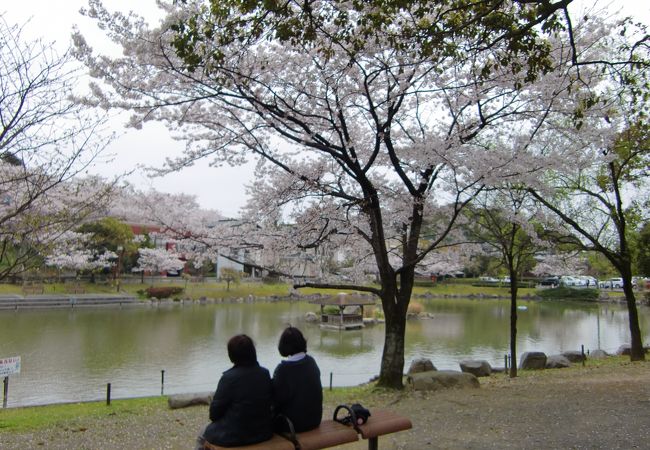 飯塚の桜の名所です