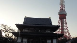 東京タワーをバックに
