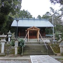 服部神社の巨木