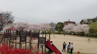 自然があふれる公園です