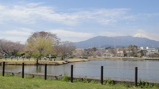 お花見スポット