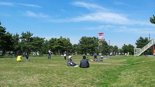 飛行機が大きい