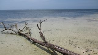 米軍、上陸地点