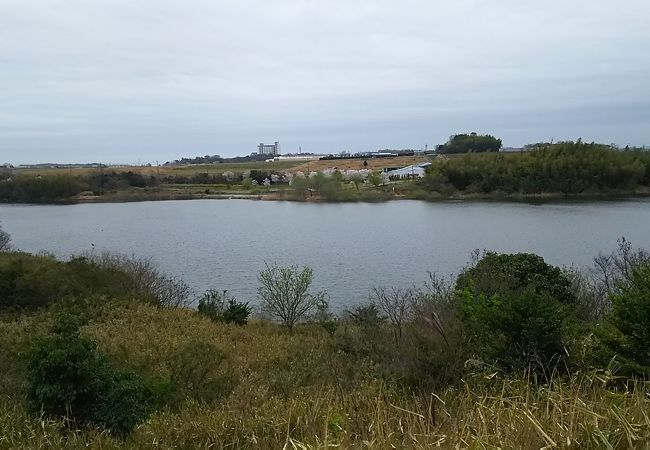 小さなダムに隣接して作られた公園