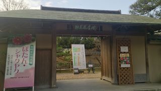 桜の季節でしたが素晴らしかった