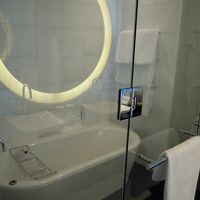 ガラス張りのバスルームから景色が見れます。ダックがいます。