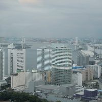 先ほどより少し望遠レンズでズームして撮影。