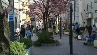 休日は混んでます