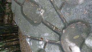 酒船石:ひっそりとした林の中神秘さを感じ石