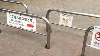 夜間は閉鎖されています。