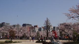 都会のオアシス