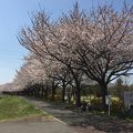 一年中遊べる公園