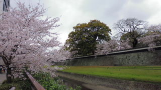 坪井川沿いの屏