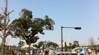 気持ちのいい公園です