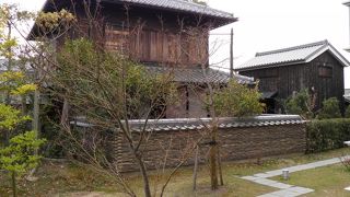 広大な敷地に豊富な植物